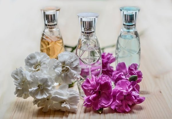 Quels sont les parfums qui durent le plus longtemps ? Découvrez nos meilleurs choix !